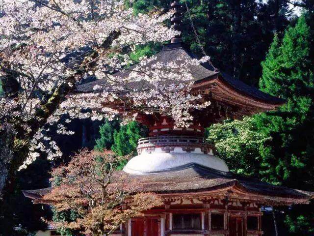 日本酒店推荐:佛系住宿,入住日本知名宿坊,体验日本神社寺庙文化