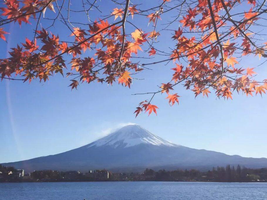 日本红叶(枫叶)季观赏攻略,及赏枫酒店推荐,解锁秋天的正确打开方式! 日本红叶(枫叶)季观赏攻略,及赏枫酒店推荐,解锁秋天的正确打开方式!