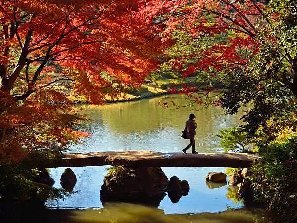 日本红叶（枫叶）季观赏攻略，及赏枫酒店推荐，解锁秋天的正确打开方式！