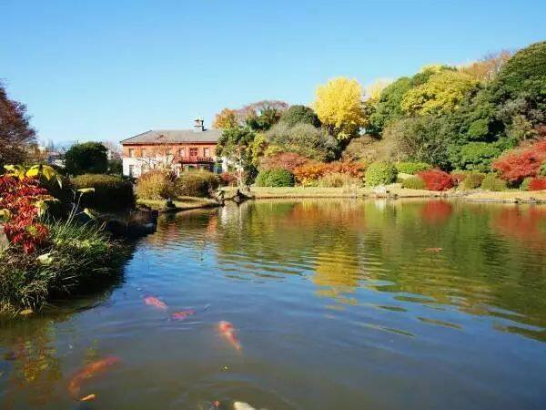 日本红叶(枫叶)季观赏攻略,及赏枫酒店推荐,解锁秋天的正确打开方式! 日本红叶(枫叶)季观赏攻略,及赏枫酒店推荐,解锁秋天的正确打开方式!