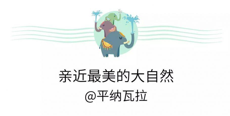 签证终于免费了!这辈子必去的斯里兰卡超强攻略,等您来打卡~ 签证终于免费了!这辈子必去的斯里兰卡超强攻略,等您来打卡~