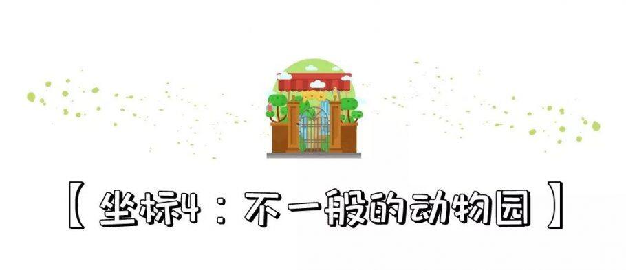不管是小可爱,还是女王范都喜欢的网红酒店聚集地清迈小城,你get了没? 不管是小可爱,还是女王范都喜欢的网红酒店聚集地清迈小城,你get了没?