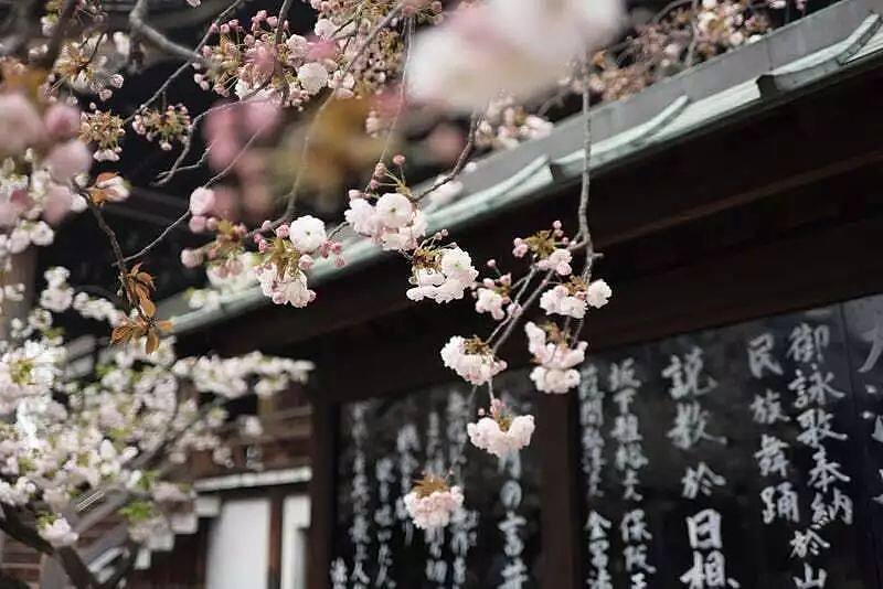 北海道吃喝玩樂住宿教學,滿足你對浪漫的所有幻想 北海道吃喝玩樂住宿教學,滿足你對浪漫的所有幻想