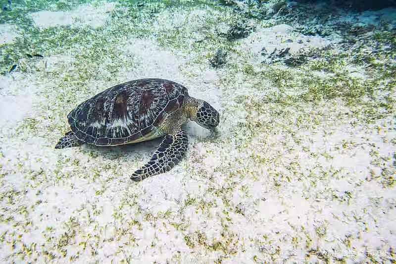 春節旅行榜單推介!假期去這些人間仙境,能讓你開心10000倍! 春節旅行榜單推介!假期去這些人間仙境,能讓你開心10000倍!