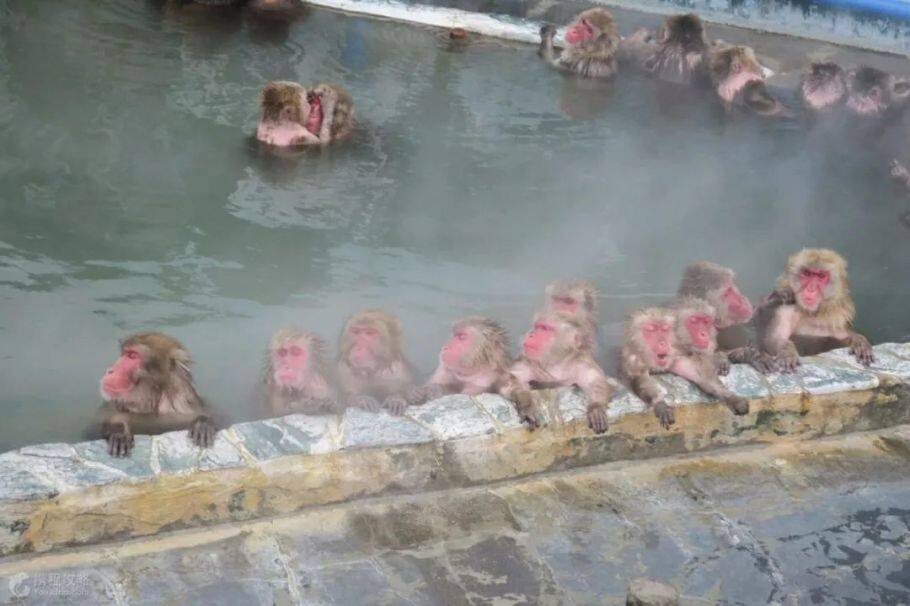 日本旅游攻略:像当地人一样玩转日本,携程旅行联合谷歌,带给你不一样的旅行体验 日本旅游攻略:像当地人一样玩转日本,携程旅行联合谷歌,带给你不一样的旅行体验
