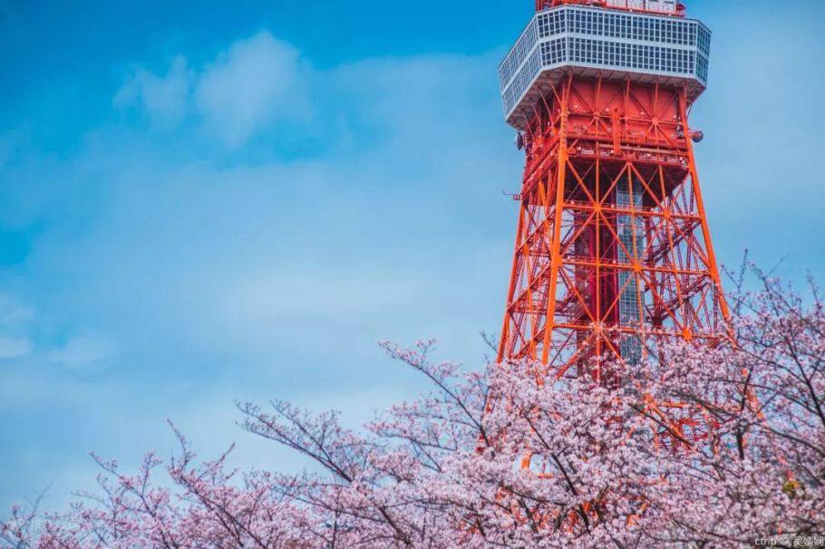 日本旅游攻略:像当地人一样玩转日本,携程旅行联合谷歌,带给你不一样的旅行体验 日本旅游攻略:像当地人一样玩转日本,携程旅行联合谷歌,带给你不一样的旅行体验
