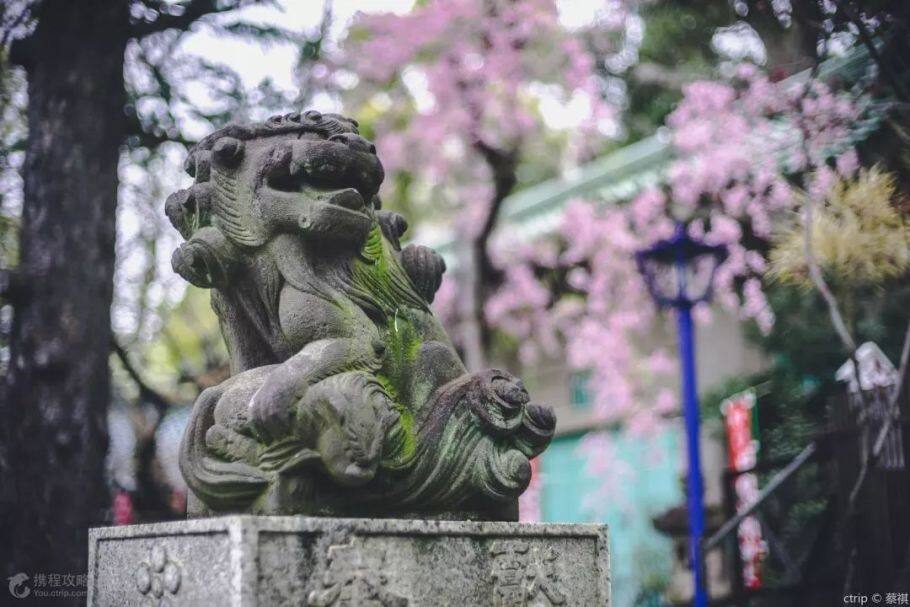 日本旅游攻略:像当地人一样玩转日本,携程旅行联合谷歌,带给你不一样的旅行体验 日本旅游攻略:像当地人一样玩转日本,携程旅行联合谷歌,带给你不一样的旅行体验