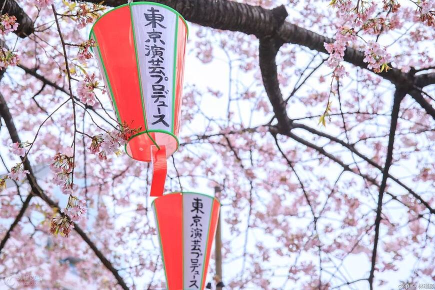 日本旅遊教學:像當地人一樣玩轉日本,攜程旅行聯合Google,帶給你不一樣的旅行體驗 日本旅遊教學:像當地人一樣玩轉日本,攜程旅行聯合Google,帶給你不一樣的旅行體驗