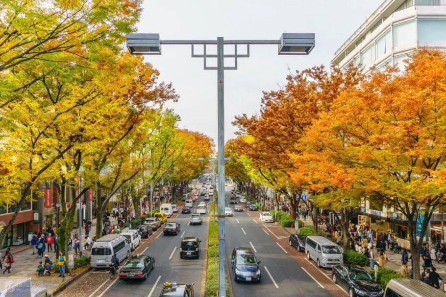 日本旅游攻略:像当地人一样玩转日本,携程旅行联合谷歌,带给你不一样的旅行体验 日本旅游攻略:像当地人一样玩转日本,携程旅行联合谷歌,带给你不一样的旅行体验