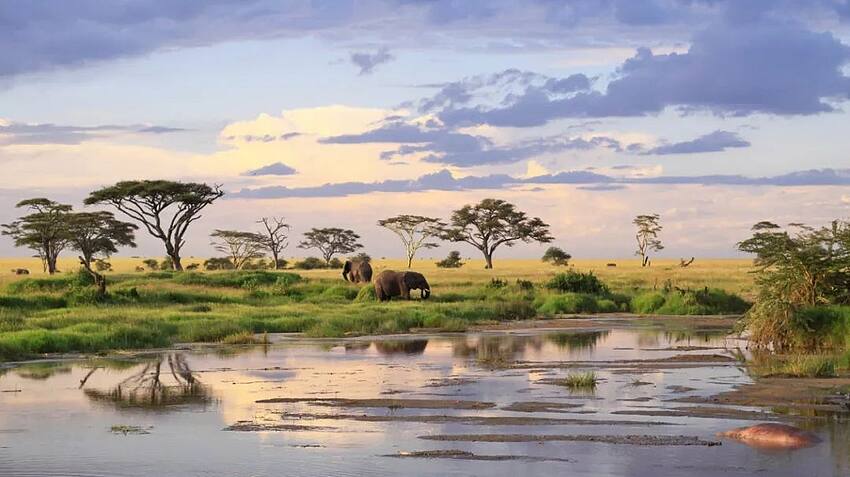 东非动物大迁徙旅行攻略及营地酒店推荐，看真人版狮子王